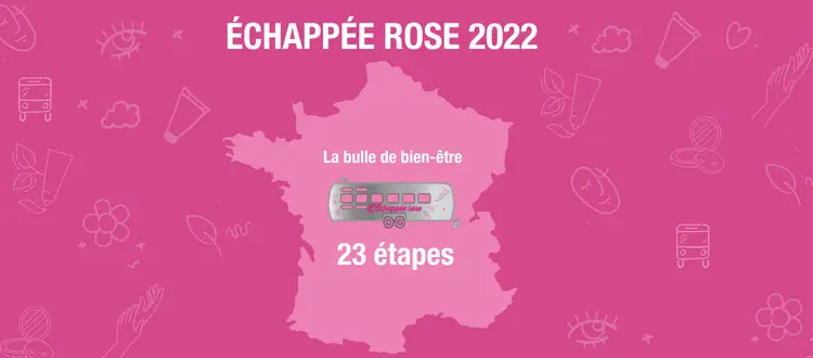Article TMCC echapee rose